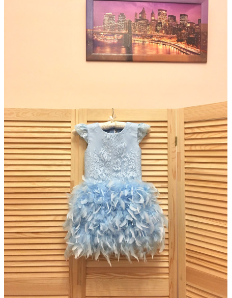 Light blue girls Pageant dress with feathers/ First Birthday Dress/ Flower girl dress/ Party dress/ Toddler dress/ Custom pageant dress